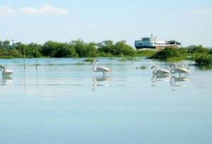 تالاب‌های هرمزگان؛ زیست‌بوم‌هایی استراتژیک در تقاطع محیط‌ زیست، معیشت و توسعه