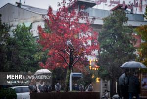 حسین نیا: بارش شدید باران در رودسر؛ شهرداری در آماده‌ باش کامل است