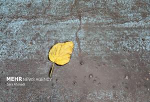 پیش‌بینی بارش‌های خفیف و پراکنده برای لرستان در روز جمعه