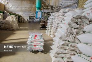 ترخیص بیش از ۴۱ هزار تن برنج وارداتی از گمرکات ظرف چهار روز کاری