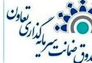 ضمانت‌نامه‌هایی که پشت تعاونی‌ها را خالی کردند