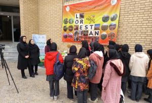 روز «درهای باز کشاورزی»؛ رویدادی برای آشنایی با دستاوردهای بخش کشاورزی