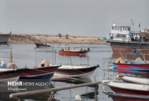 «دریابست» در استان بوشهر؛ ممنوعیت صید برای حفظ ذخائر آبزیان