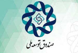 طلب ۹۶ میلیارد دلاری صندوق توسعه ملی از دولت