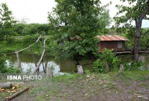 خمام؛ نگینی سرسبز با قدمتی دیرینه در دل جنگل‌های هیرکانی