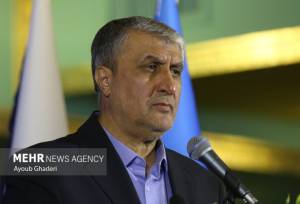 اسلامی: درمان، سلامت و امنیت غذایی اولویت‌ سازمان انرژی اتمی ایران است