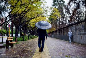 شیراز در بارش باران رحمت الهی