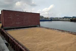 بابایی: ترخیص شبانه‌روزی نهاده‌های دامی از بنادر گیلان