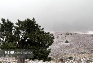 بارش برف چهره شهرهای آذربایجان غربی را سفیدپوش کرد
