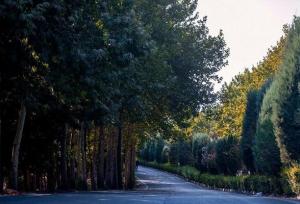 گسترش کمربند سبز پایتخت با ۵ پروژه جدید فضای سبز