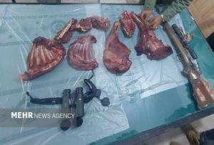 شکارچی غیرمجاز در دشتستان دستگیر شد