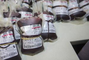 خون‌ اهدایی ایرانی‌ها جزو سالم‌ترین‌های دنیا / کار بر زمین مانده ساخت پالایشگاه خون