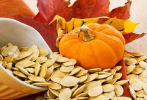 جهش دو برابری کشت کدو آجیلی در بهار