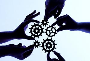 حیدریه: ظرفیت‌های تعاونی‌های شهرستان گناوه معرفی شود