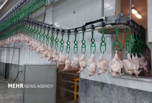 هر کیلو گرم گوشت مرغ ۱۶۸ هزار تومان شد+جدول قیمت کالاهای اساسی