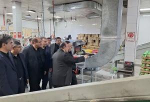 بازدید استاندار قزوین از ۲ واحد تولیدی مواد غذایی