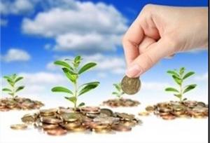 یک مسئول: امسال ۵۰۰ هزار هکتار از اراضی کشاورزی کرمانشاه زیر پوشش بیمه خواهد رفت