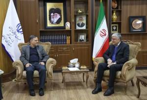 صادقی: خدمات بنیاد مسکن موجب توسعه روستاها شده است