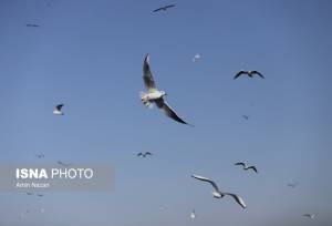 تنفس هوای «پاک» در  ۵ شهر خوزستان
