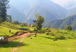 کشف جاده غیرمجاز ۸ کیلومتری در جنگل‌های گیلان