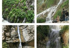 زینالی: البرز برای توسعه گردشگری نیازمند رویکردی یکپارچه است