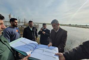 لزوم برخورد بدون اغماض با شکار و فروش پرندگان مهاجر