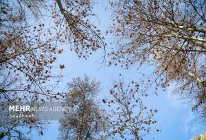 کاهش ۱۲ درجه ای دمای هوا در خراسان رضوی