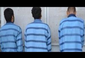 کشف اموال مسروقه ۴۰ میلیاردی از سارقان در نمین