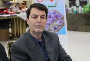 کشت زعفران می‌تواند به اقتصاد کشاورزی لرستان کمک کند