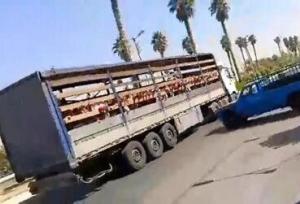 مدیر مدرسه غیردولتی جهرم از سمت خود برکنار شد