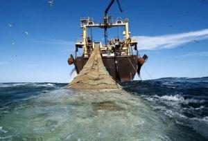 توقیف ۲ شناور غیرمجاز ترال در جاسک