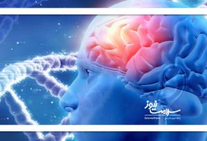 کاهش یک پروتئین در مغز، پیری را به عقب برمی‌گرداند