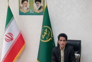 شهرکی: ۴۹ کیلو گرم زعفران از مزارع زاهدان برداشت می شود