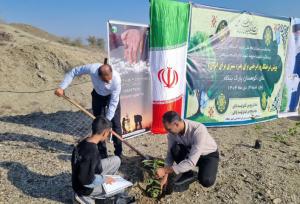 پویش «درختی برای پدر؛ سبزی برای ایران» در هرمزگان آغاز شد