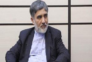 دوستعلی: اگر مکانیسم ماشه فعال شود، ایران از NPT خارج می‌شود