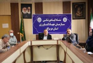 اسدپور: ۴۴ هزار نخل برای مقابله با آفت خرما در هرمزگان ردیابی شد