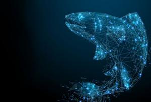 هوش مصنوعی به کمک ماهی‌های سالمون آمد