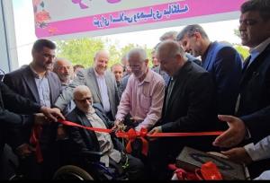 ۲۸۱ پروژه ورزشی و فرهنگی هفته دولت افتتاح شد؛ مازندران پیشتاز ورزش