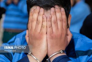 از دستگیری سارقان تجهیزات برق‌ تا کشف چوب قاچاق در قزوین