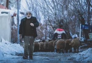 جشنواره فیلم فجر مشهد با ۶ اکران آغاز می شود