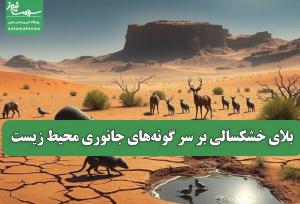 بلای خشکسالی بر سر گونه‌های جانوری محیط زیست