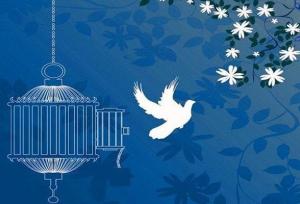 رهایی محکوم به قصاص پس از ۱۲ سال در شادگان