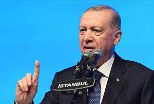اردوغان: شورای امنیت حامی اسرائیل شده است