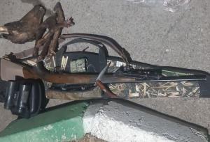 دستگیری شکارچی در پارک ملی صیدوا؛ گوسفند وحشی ماده شکار شد