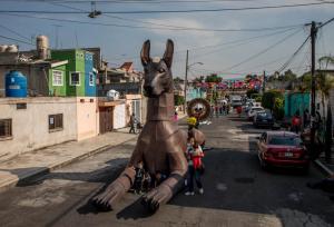 کدام حیوانات نماد مرگ و حیات بعد از مرگ هستند؟