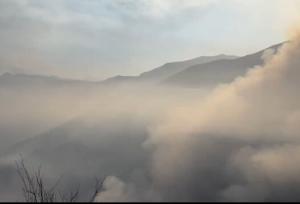 رئیس منابع طبیعی کشور: طبق برآورد میدانی و تصاویر ماهواره‌ای ۸ هکتار جنگل الیت درگیر آتش‌سوزی است