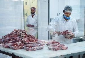 ماجرای جنجالی واردات گوشت‌‌ آلوده از مغولستان