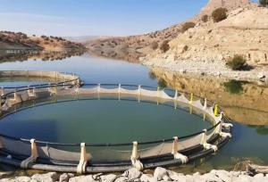 سد کشاورزی مجن ظرفیتی برای شیلات؛ شرایط میدانی بررسی شد