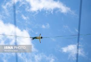 آسمان بوشهر تا روز سه‌شنبه صاف است