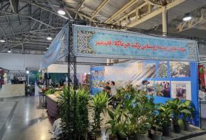 صادق نژاد: ۵۰۰۰ شغل روستایی در مازندران ایجاد شده است